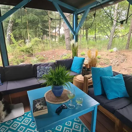 Sworny Bor- Caloroczny スヲーネガシエ