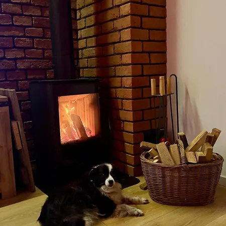 別荘 Sworny Bor- Caloroczny スヲーネガシエ