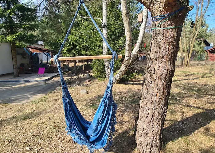 Sworny Bor- Caloroczny Swornegacie