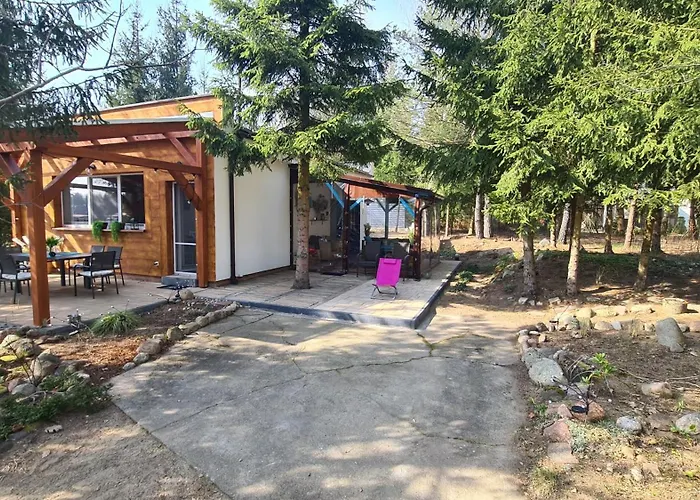 Sworny Bor- Caloroczny * Swornegacie